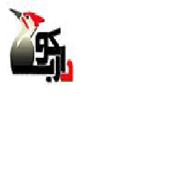 طراحی سایت و ساخت وب سایت بهینه سازی شده برای موتورهای جستجو دارکوب
