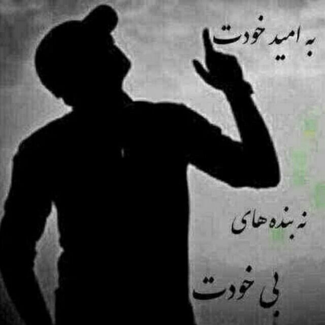 فروش کلیه و قسمتی از کبد