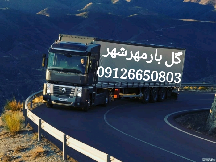باربری گل بار مهرشهر عکس شماره 4