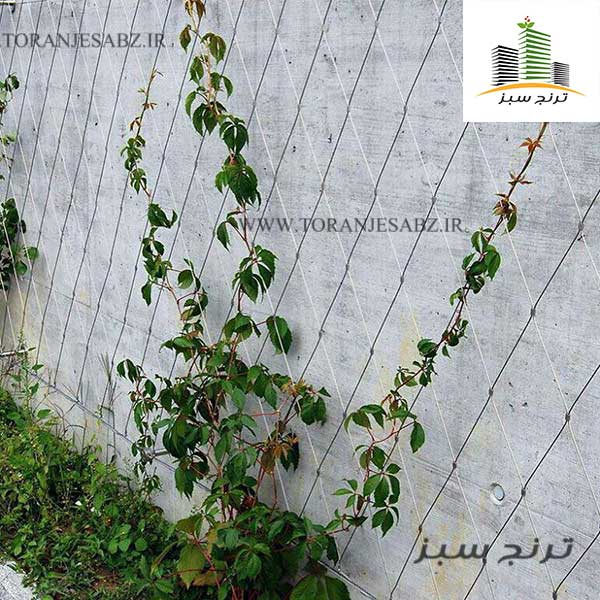 ترنج سبز طراحی و اجرا دیوار سبز مشهد عکس شماره 2