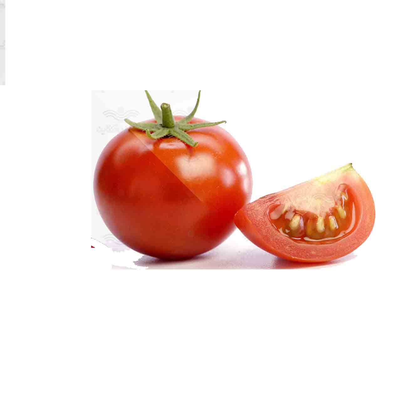 بذر گوجه فرنگی جی اس ١٢