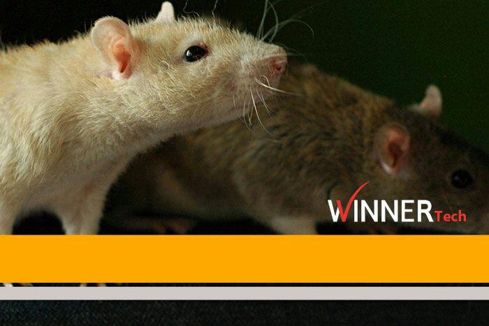 ضد موش اولتراسونیک وینرتک عکس شماره 2