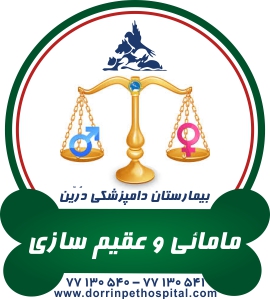 فروشگاه و پت شاپ لوازم حیوانات خانگی درین عکس شماره 38