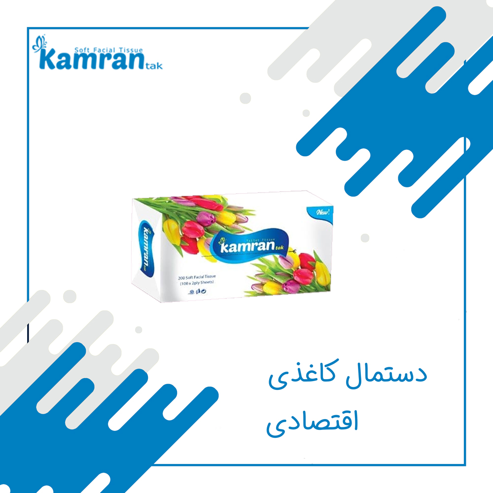 فروش عمده دستمال کاغذی اقتصادی عکس شماره 2