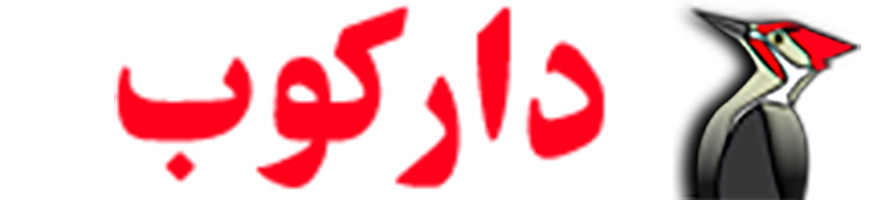طراحی سایت ، سئو و بهینه سازی سایت ، ثبت دامنه و هاستینگ دارکوب