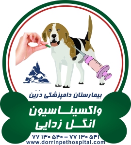 فروشگاه و پت شاپ لوازم حیوانات خانگی درین عکس شماره 33