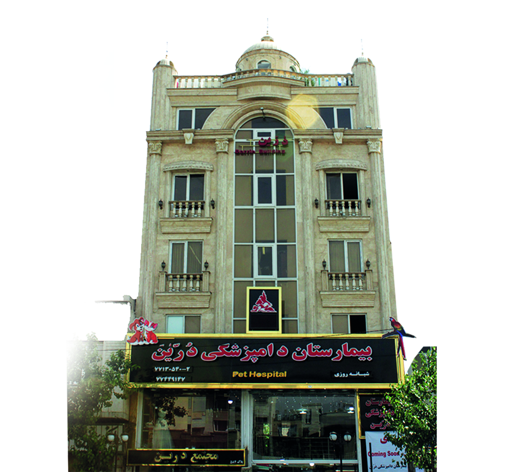 تشخیص ودرمان حیوانات خانگی بیمارستان دامپزشکی درین عکس شماره 2