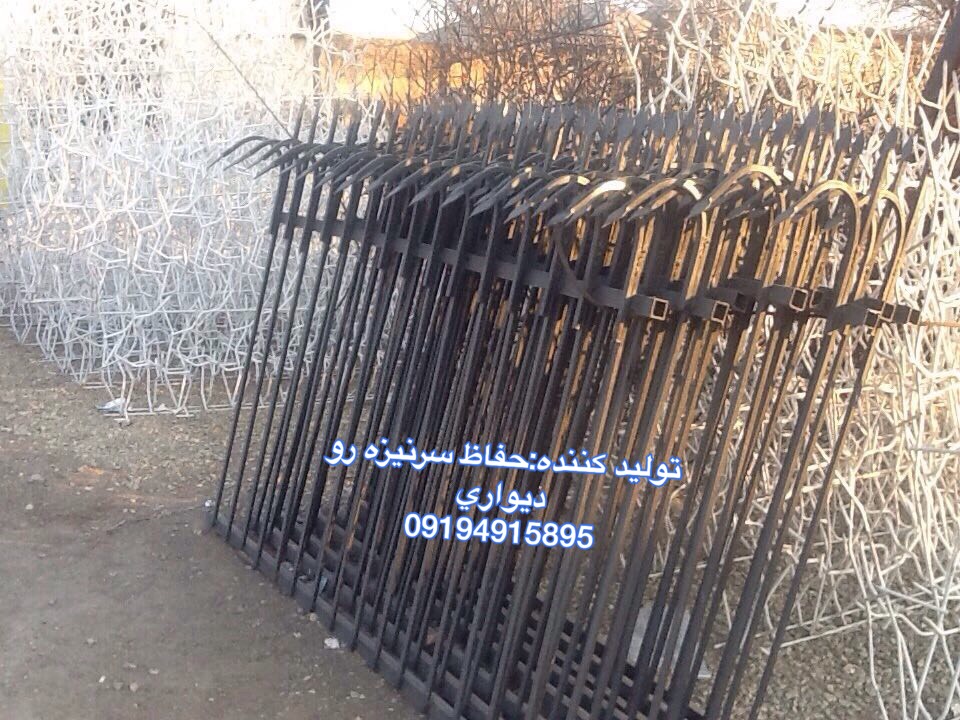 شاخ گوزني عکس شماره 7