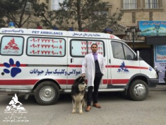 آمبولانس و کلینیک سیار حیوانات خانگی درین عکس شماره 2