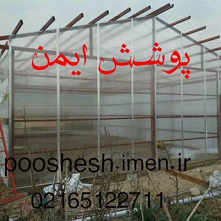 قیمت و فروش طلق پلاستیکی عکس شماره 2