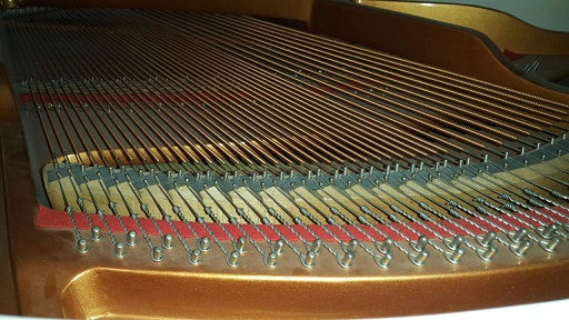 فروش  پیانو آکوستیک گرند برگمولر(burgmuller GP170) عکس شماره 4