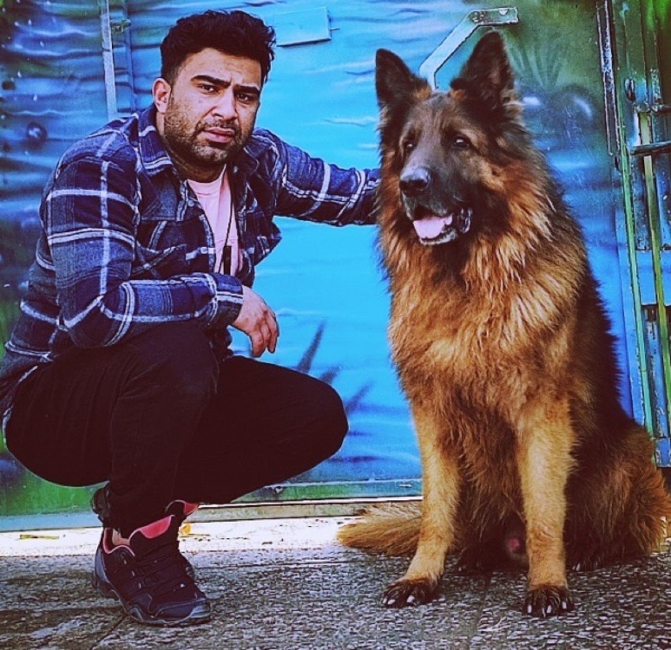 باشگاه سگ