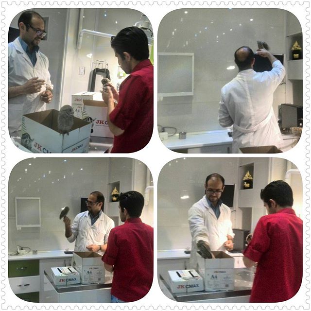 مراقبتهای ویژه و ICU بیمارستان دامپزشکی درین عکس شماره 6