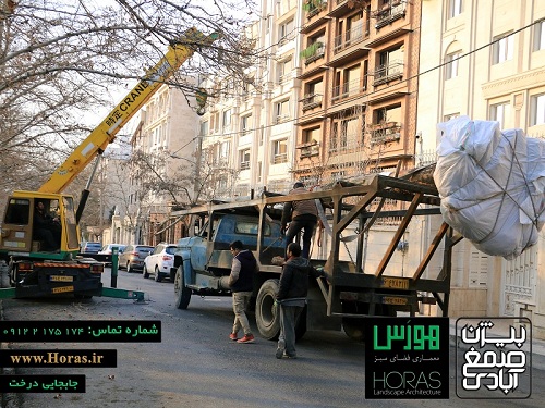 جابجایی درخت عکس شماره 2