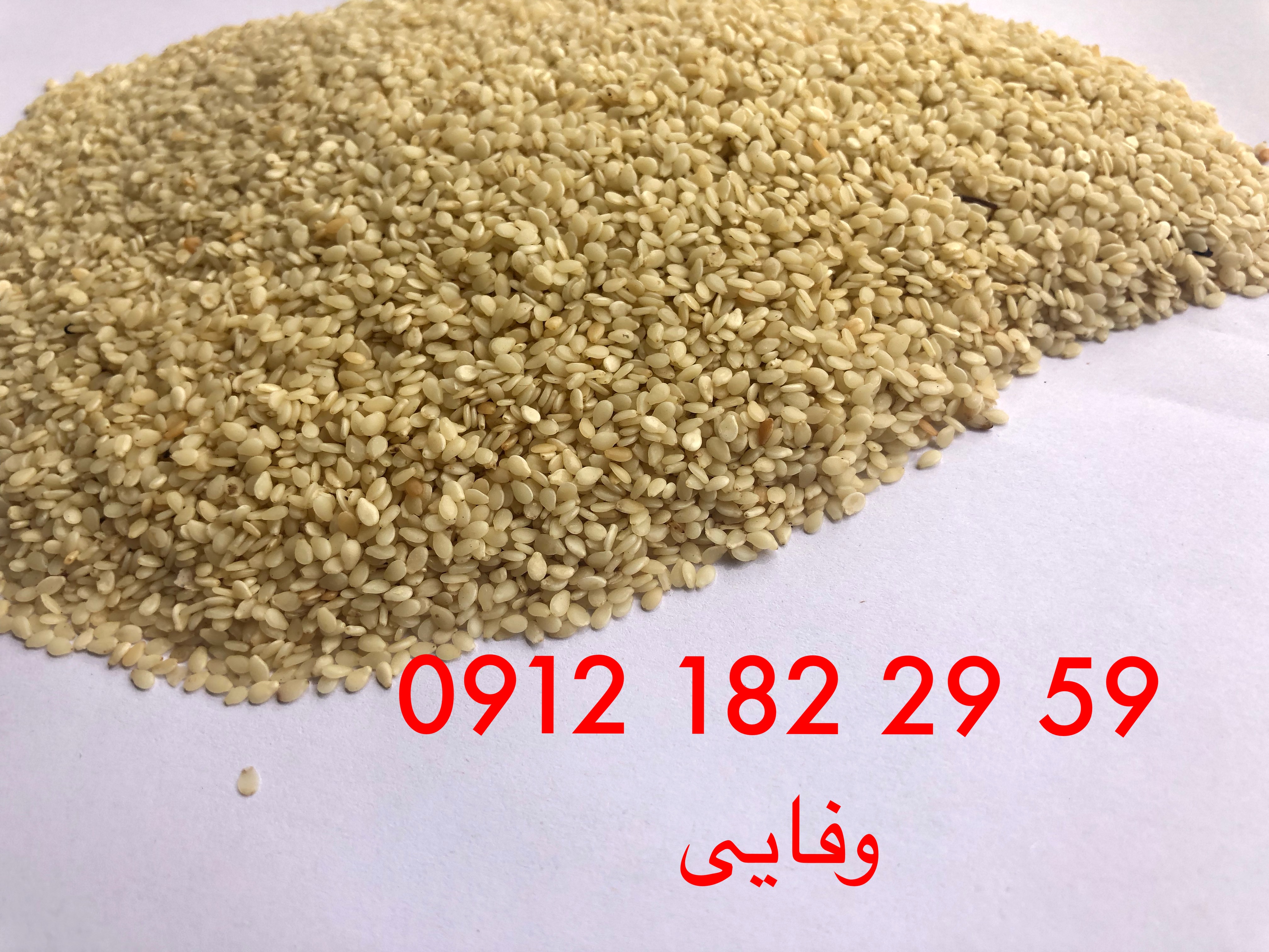 فروش انواع کنجد شسته و بوجاری عکس شماره 5