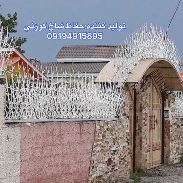 حفاظ شاخ گوزني