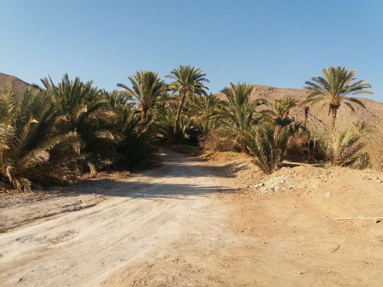 کویر مصر عکس شماره 3