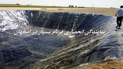 امید سبز زنده رود