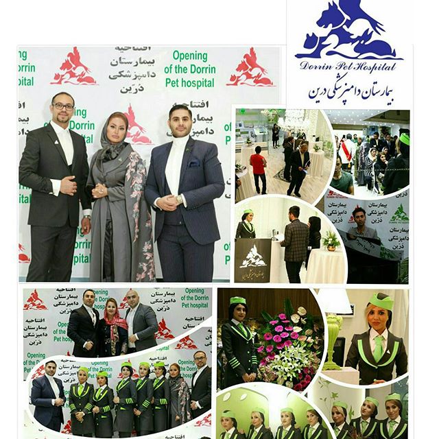 داروخانه حیوانات خانگی بیمارستان دامپزشکی درین عکس شماره 10