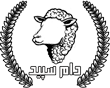 گوسفند زنده