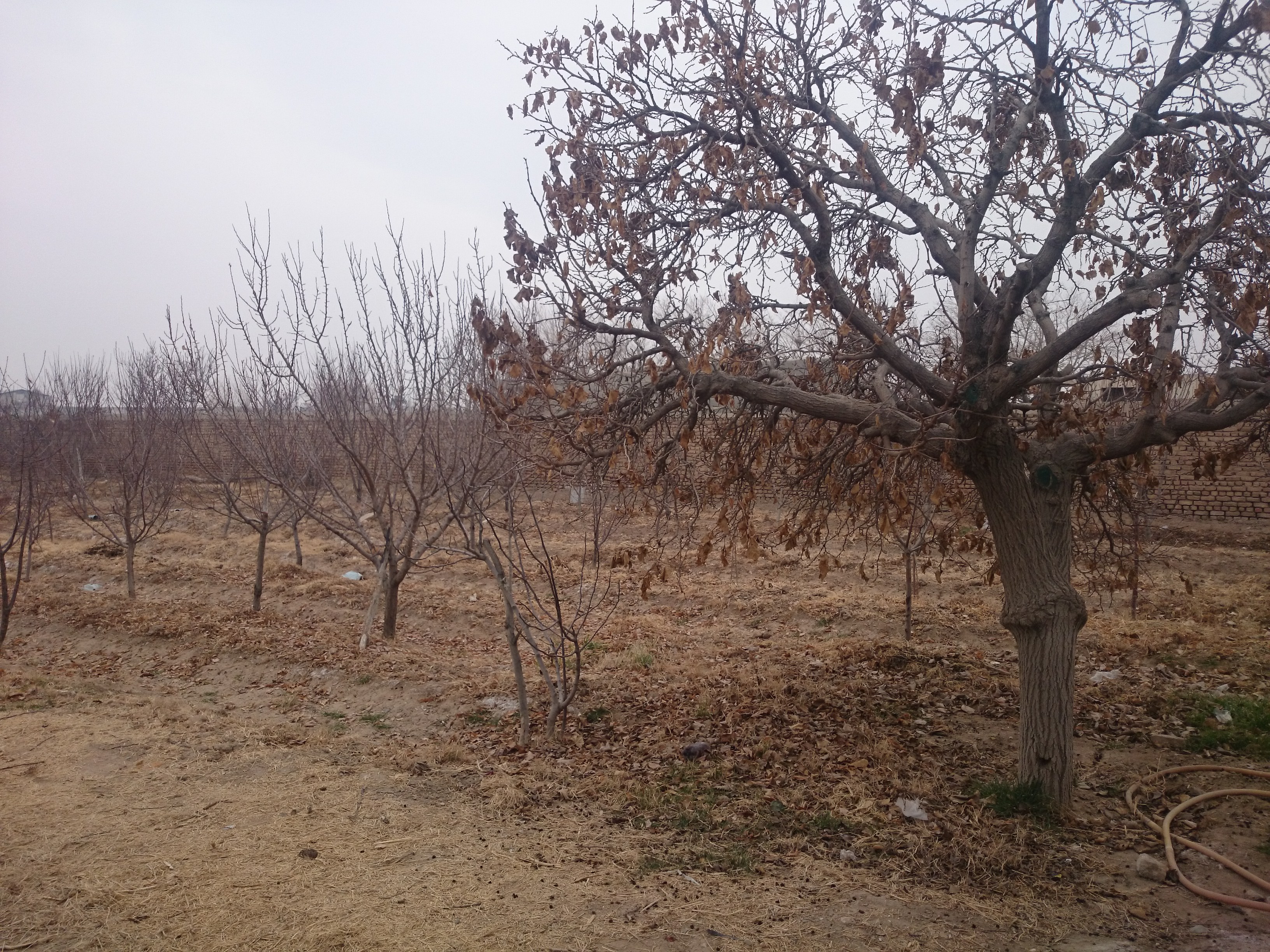 ویلا 2300متری مهرشهر  عکس شماره 4