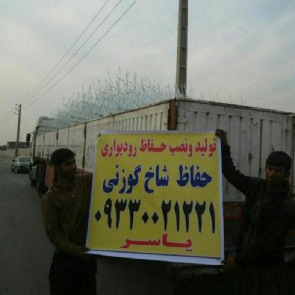 حفاظ بوته ای و شاخ گوزنی شیراز حفاظ عکس شماره 1