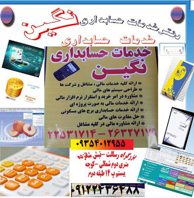 خدمات حسابداری نگین   حسابداری پروژه ای 