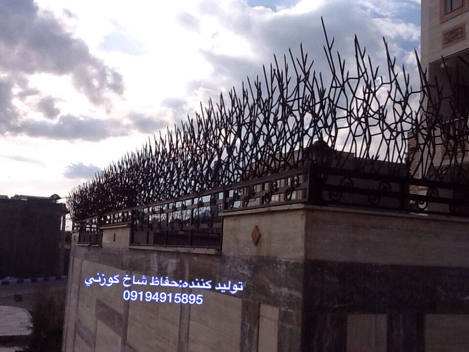 شاخ گوزني عکس شماره 6
