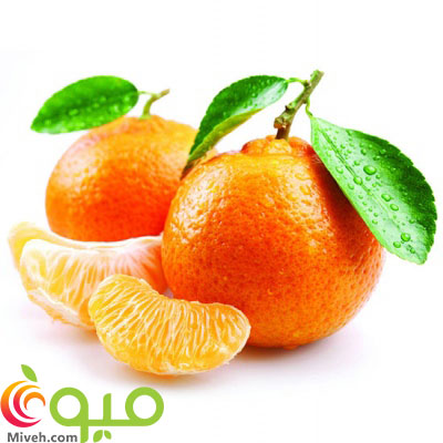 نارنگی یافا عکس شماره 1