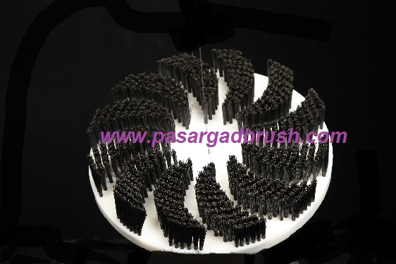 فرچه دیسکی قالیشویی