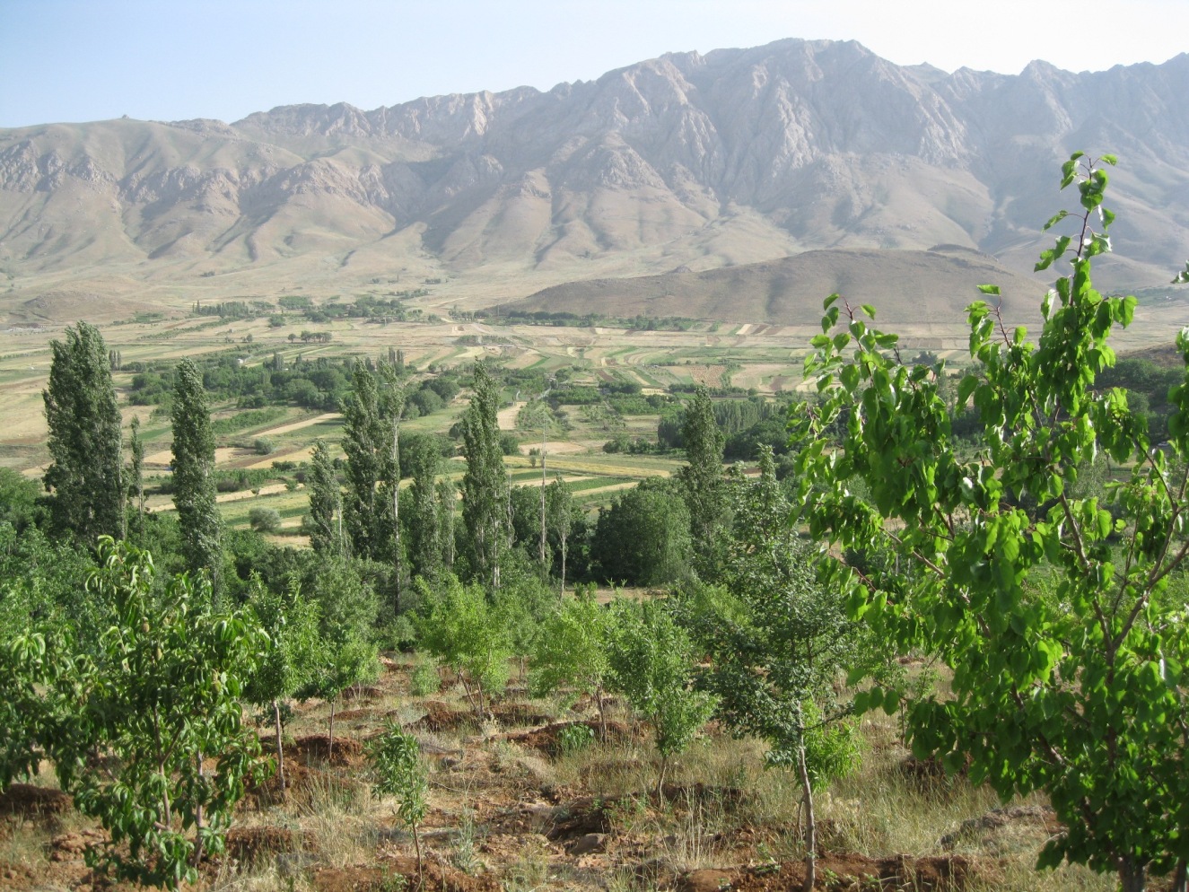 باغ با چشم انداز عالی عکس شماره 6