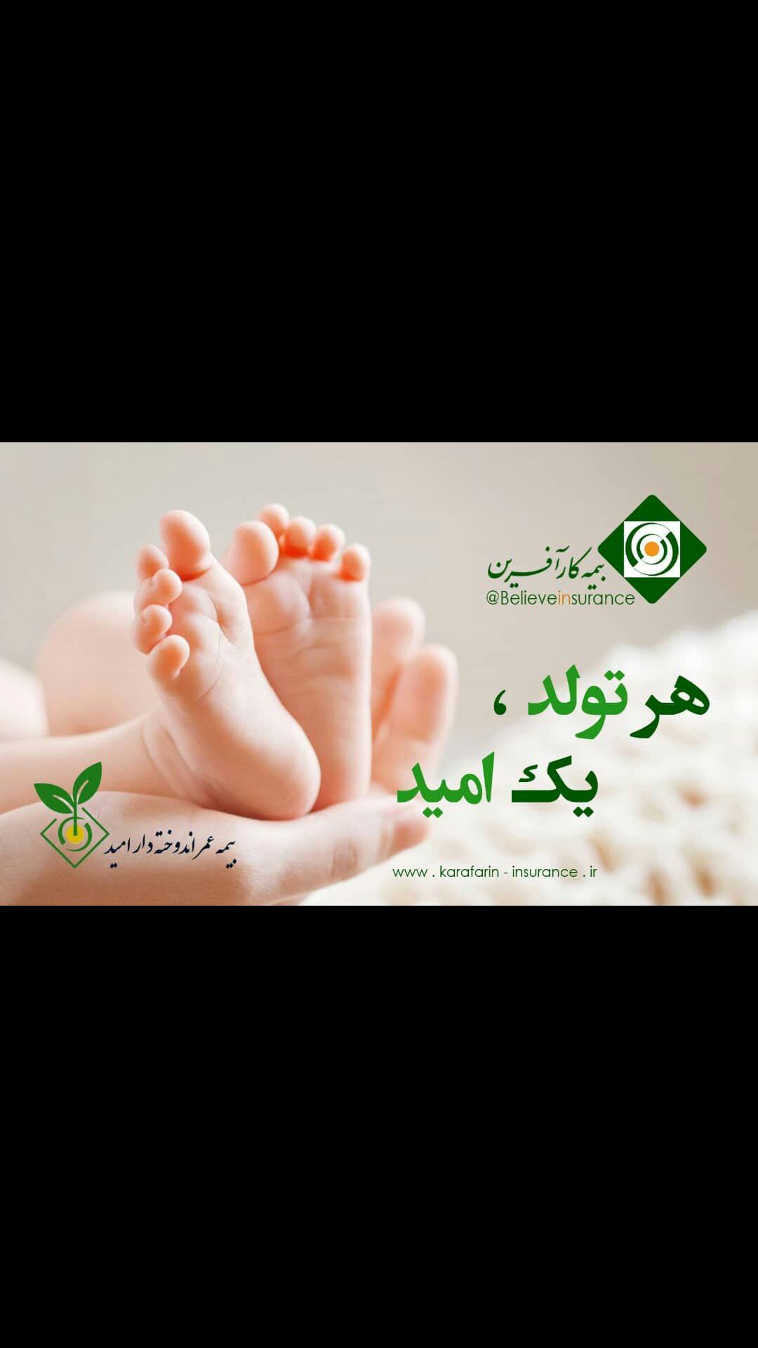 بیمه کارآفرین عکس شماره 2