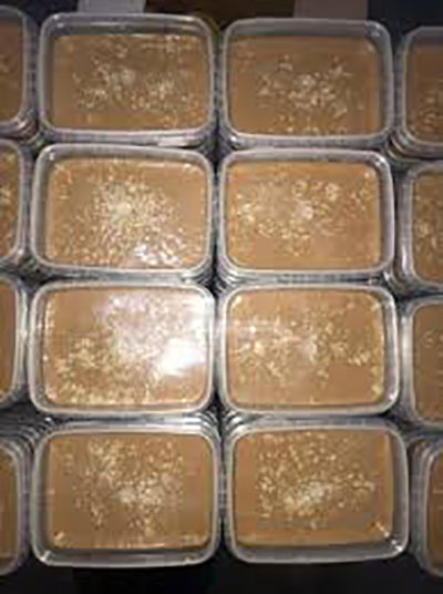 حلوا ارده پشمکی بهجتی09361984747 عکس شماره 5