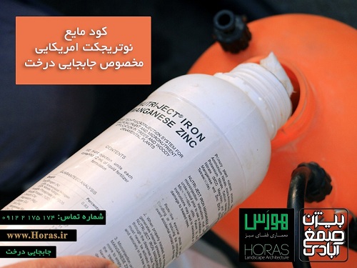 جابجایی درخت عکس شماره 3