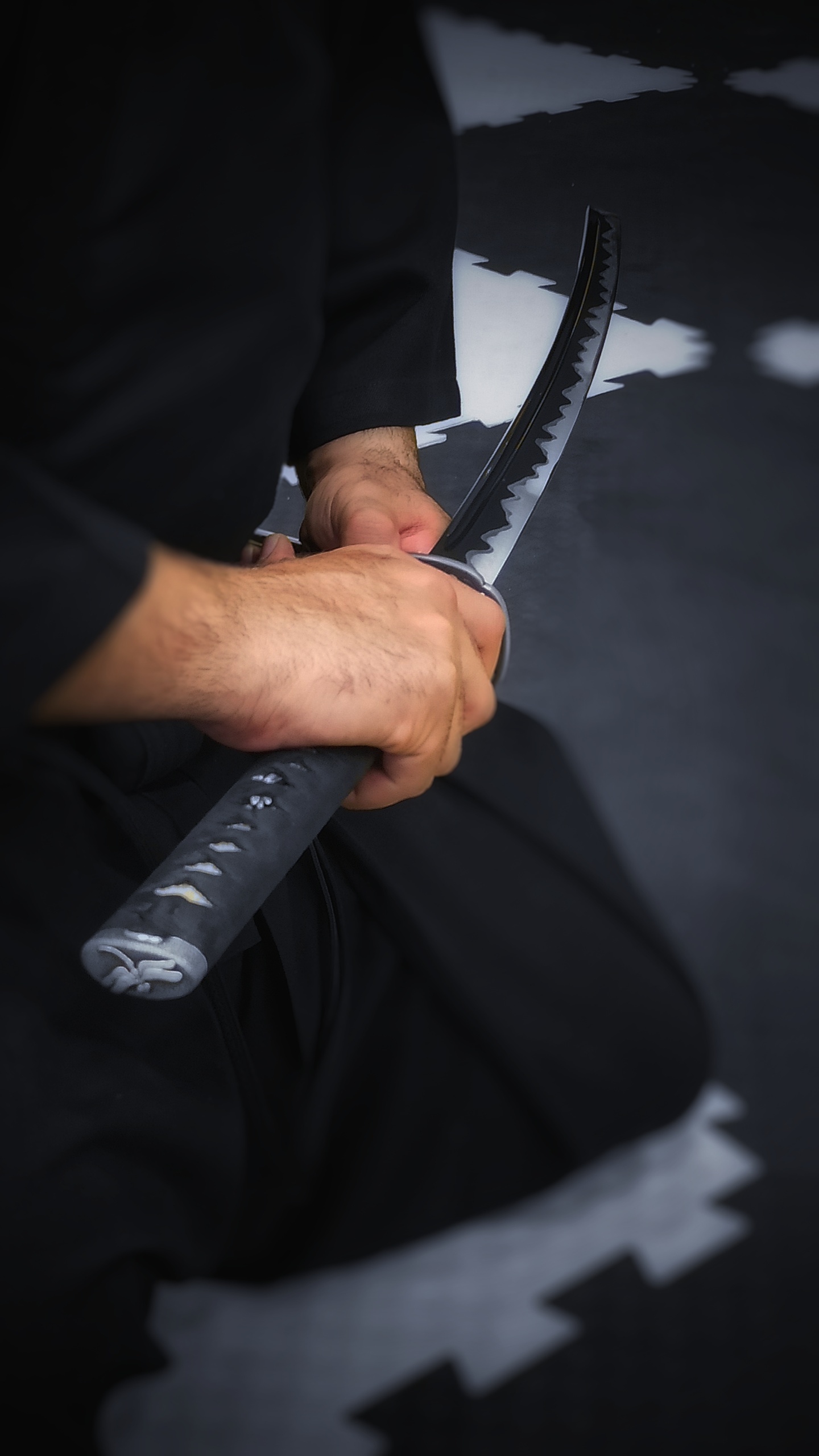 آموزش ای آی دو(Iaido) از مبتدی تا حرفه ای در آکادامی کوکورو دوجو عکس شماره 3