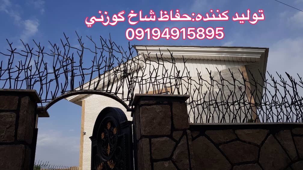 شاخ گوزني عکس شماره 2