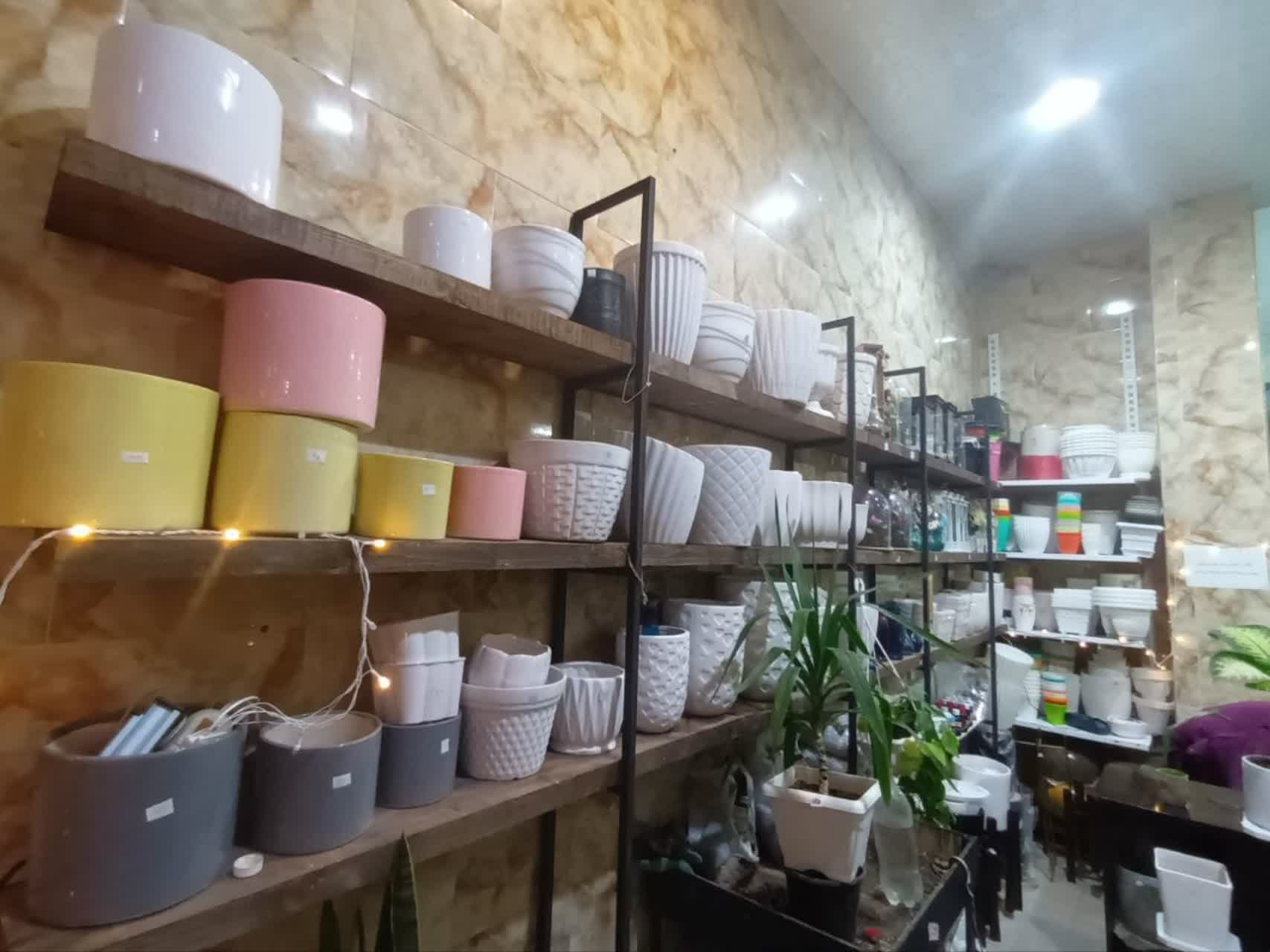 گلکده شادی عکس شماره 2