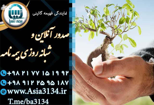 صدور بیمه عمر در شرق تهران توسط بیمه آسیا در کوتاهترین زمان ممکن  عکس شماره 2