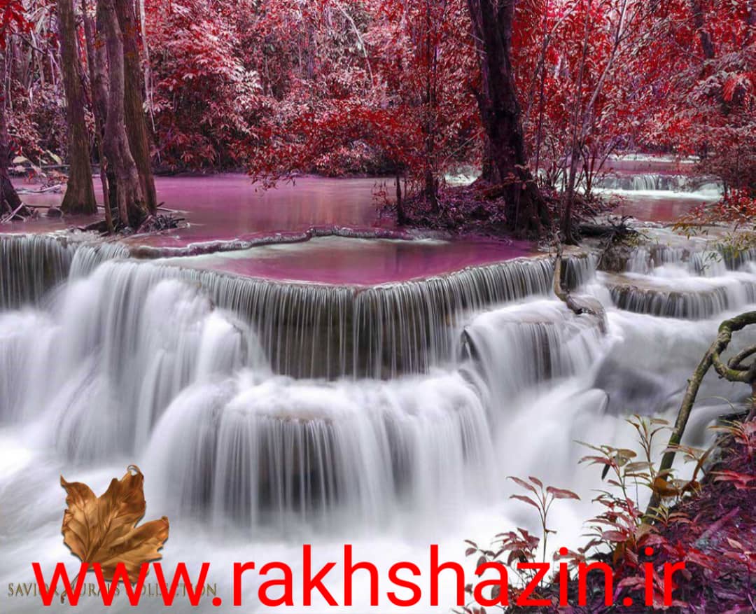 فروش کاغذ دیواری قابل شستشوی اصفهان عکس شماره 3