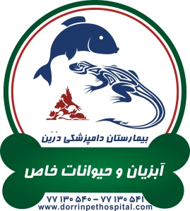 آبزیان ،ماهیان و حیوانات خاص بیمارستان دامپزشکی درین