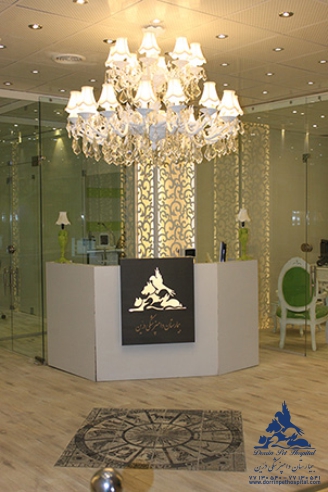 بستری و نگهداری از حیوانات بیمار ، بیمارستان دامپزشکی درین