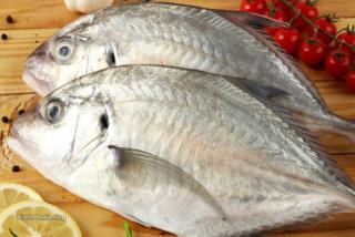 فروش انواع ماهی ومیگو