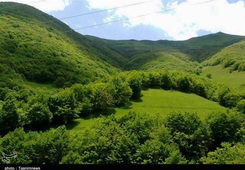 اخر هفترو نباید تو خونه موند 