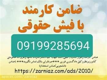 کارمندرسمی بافیش حقوقی +ضامن کارمندرسمی بافیش حقوقی ۰۹۱۹۹۲۸۵۶۹۴