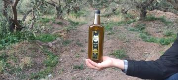 فروش روغن زیتون اصل رودبار