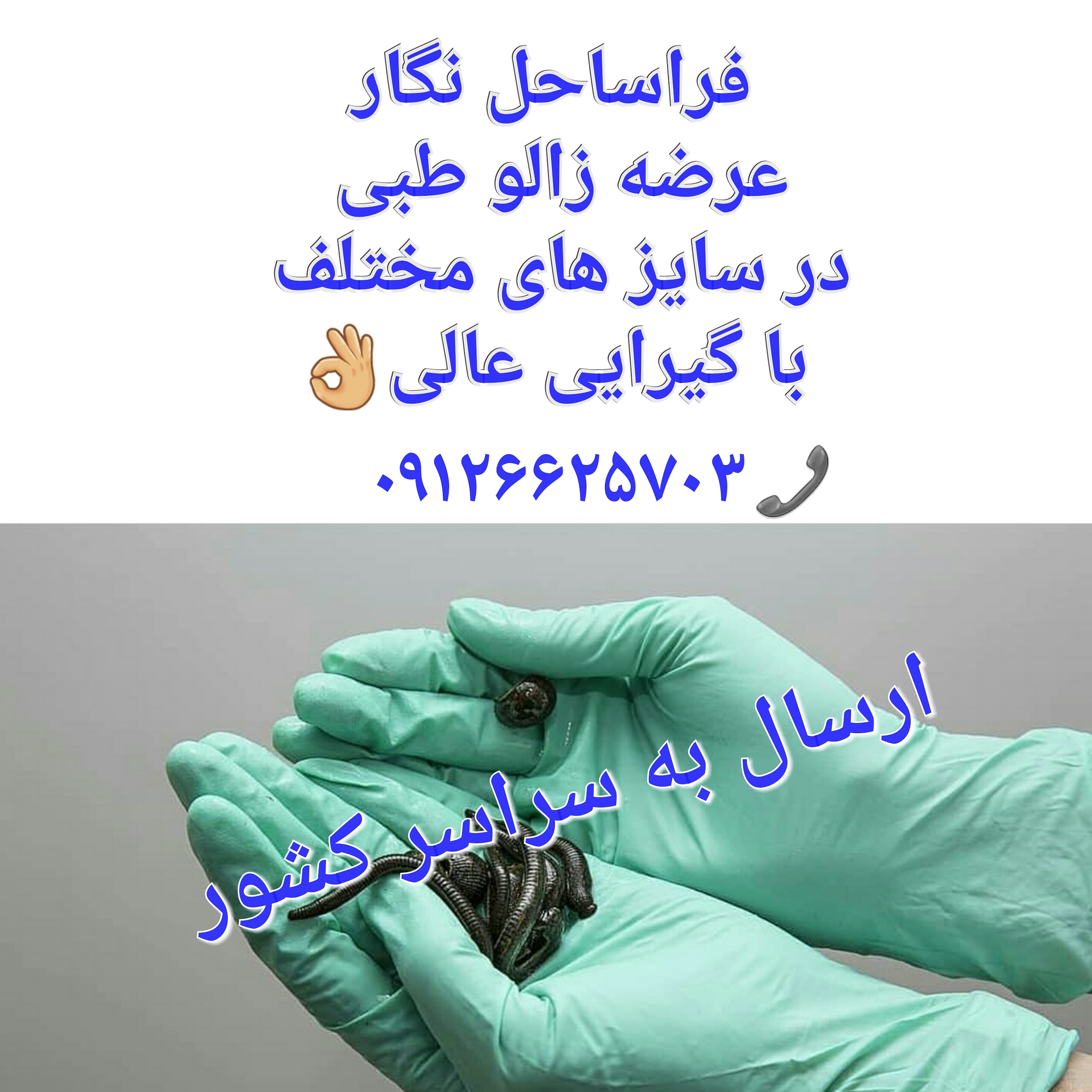 فروش زالو طبی