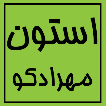 واردات و فروش مستقیم استون (استن)