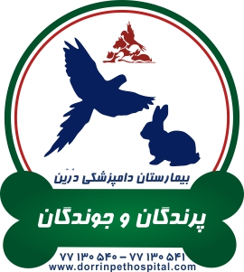 فروشگاه و پت شاپ لوازم حیوانات خانگی درین