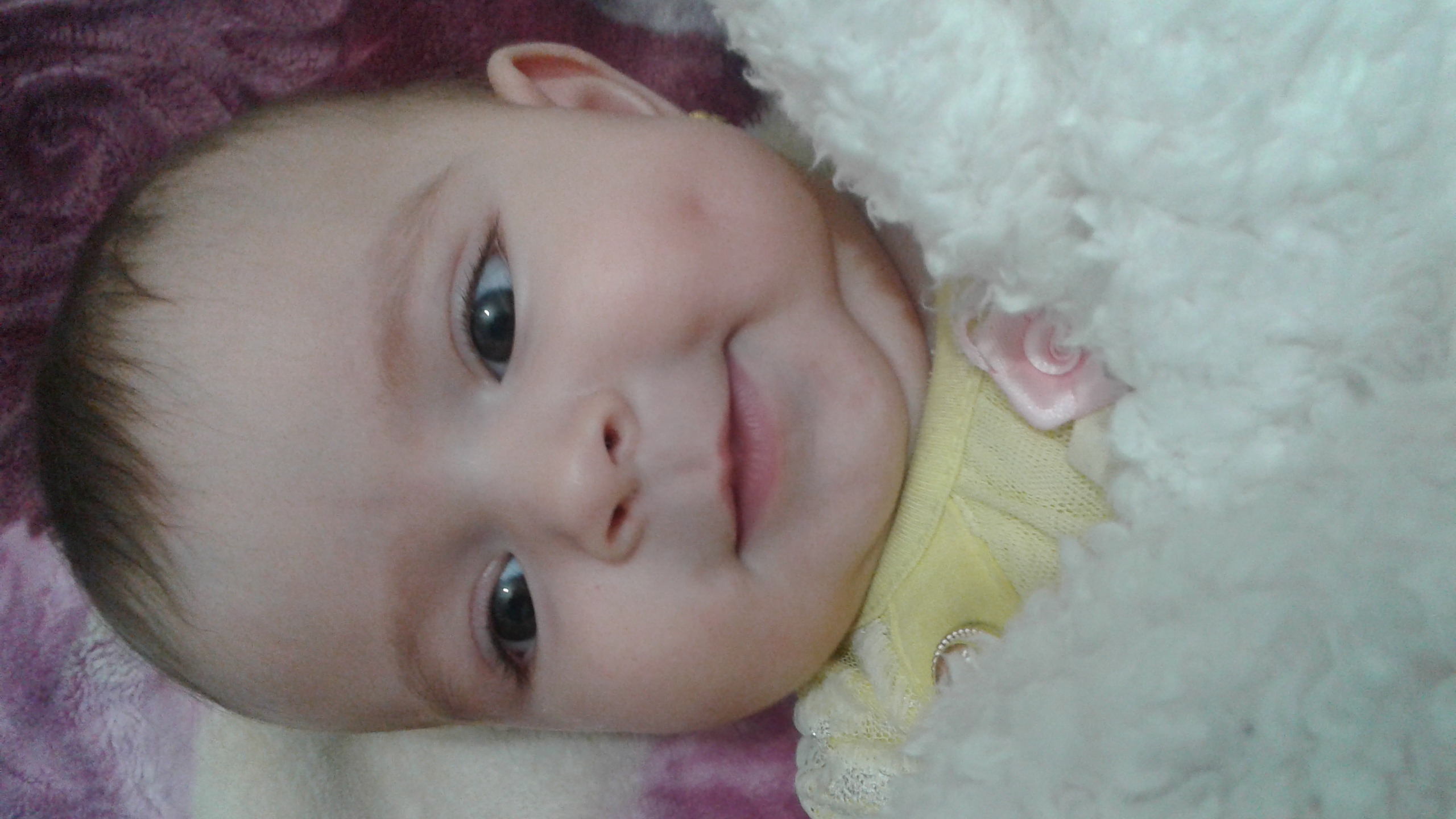 اجاره دهنده رحم