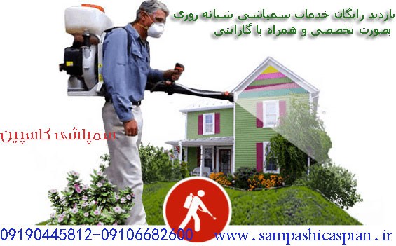 سمپاشی منازل